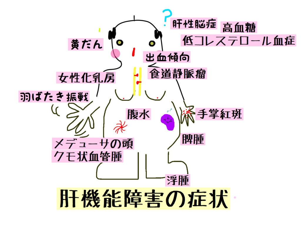 徹底まとめ 肝障害の症状 病態の根拠 理由を解説 看護師国試対策 もちゆきナース室