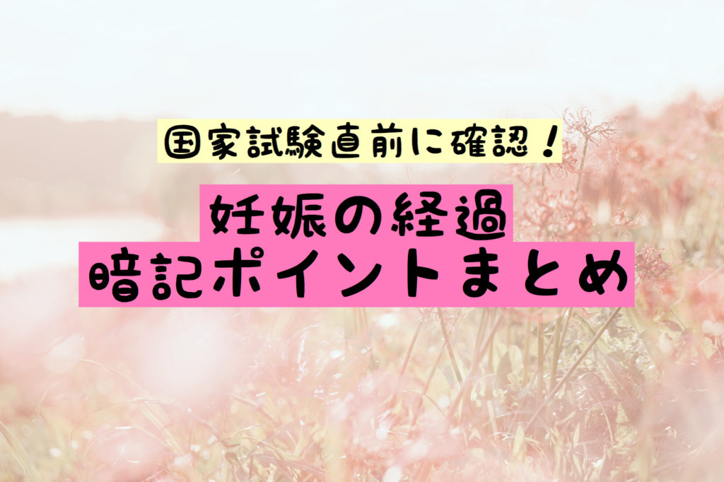 これだけ確認 妊娠の経過の暗記ポイントまとめ 国家試験直前暗記 もちゆきナース室