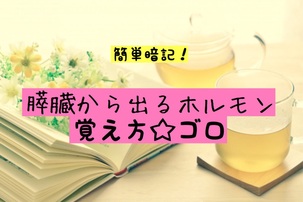 膵臓から出るホルモンの簡単な覚え方 ゴロ合わせ もちゆきナース室
